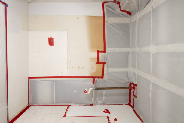 Best Biohazard Mold Removal  in Winnemucca, NV